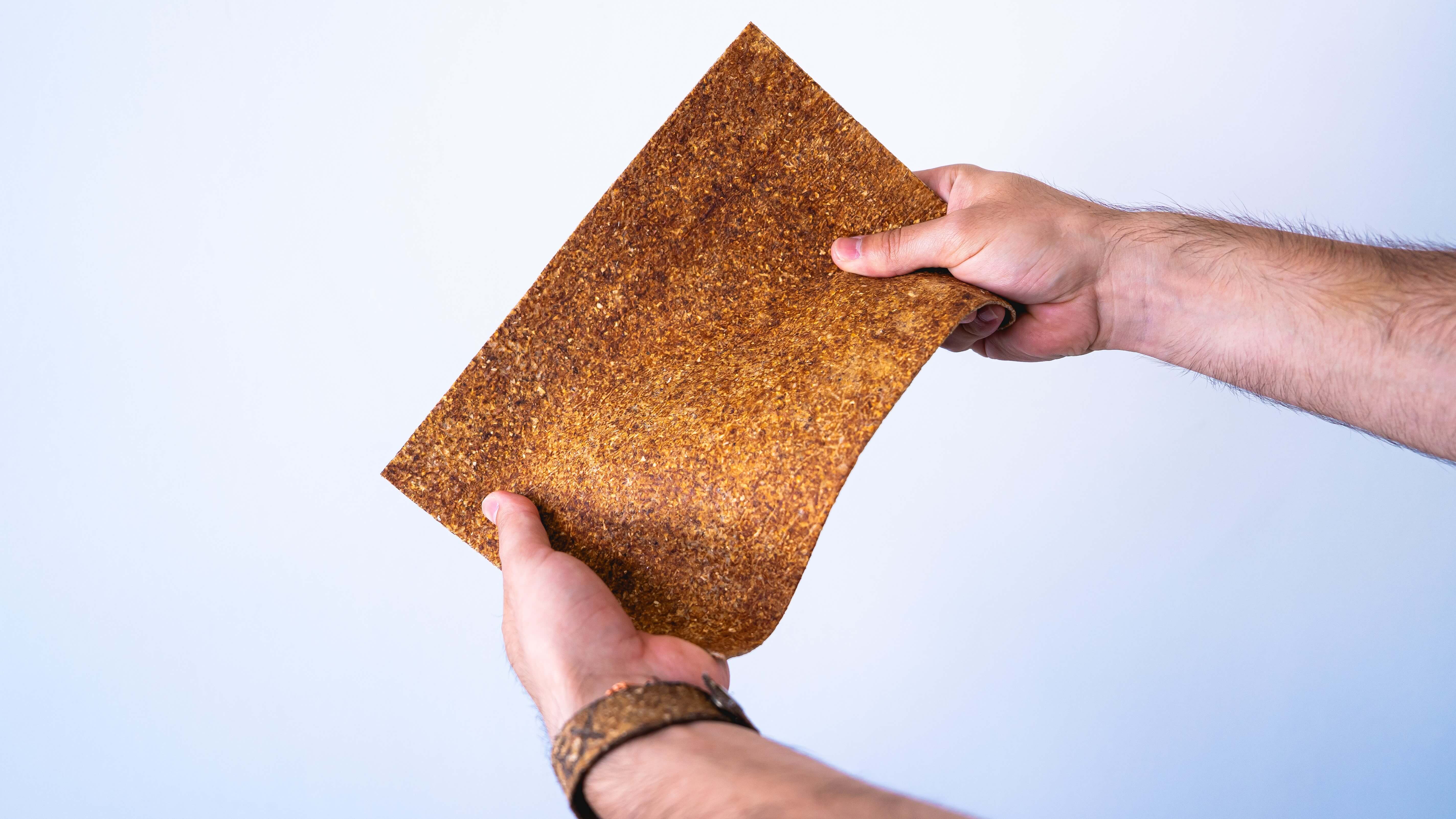 Lamina biomaterial kala